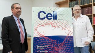 Científicos argentinos descubrieron terapia contra el cáncer