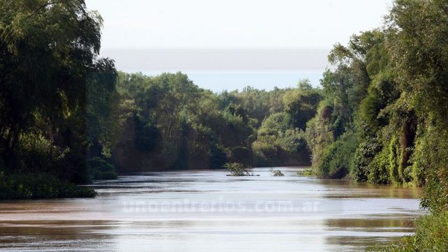 &nbsp;El objetivo de la Ley de Humedales es regular sus usos y penalizar actividades que dañen el recurso. El 21% del territorio argentino está formado por humedales