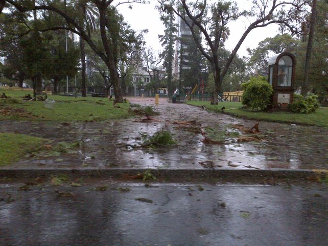 Este era el panorama de la Plaza Constituyentes. Gentileza Alejo Martínez