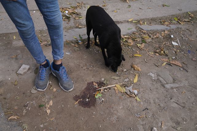 Tres homicidios en un mes en Felipe Moré al 600 bis, escenario de una disputa que tiene a dos barrios en vilo