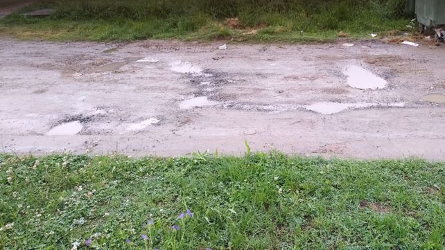 Piden fumigaciones en barrio Los Paraísos