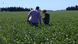 Promoviendo una agricultura productiva