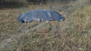 Terreno ajeno. Se quisieron apropiar de terrenos fiscales en calle&nbsp;Crisólogo Larralde de Paraná&nbsp;