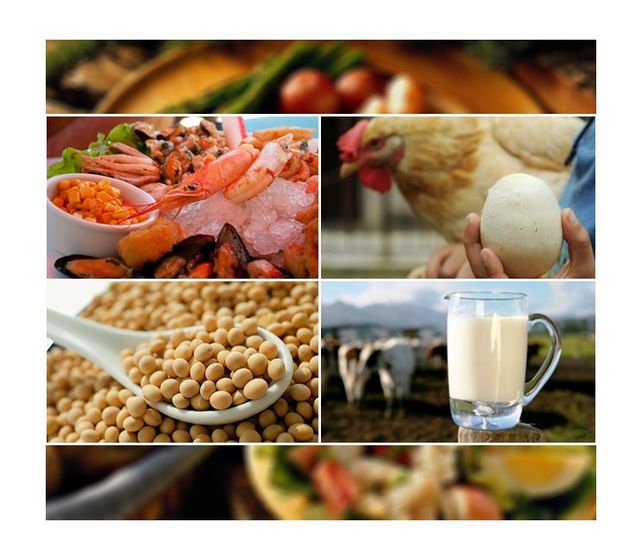 ¿Cuáles son los ocho alimentos que causan el 90% de las alergias?