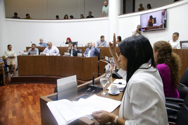 Foto ilustrativa. El Concejo le pidió a Poletti que convoque al Consejo de Seguridad Urbana.