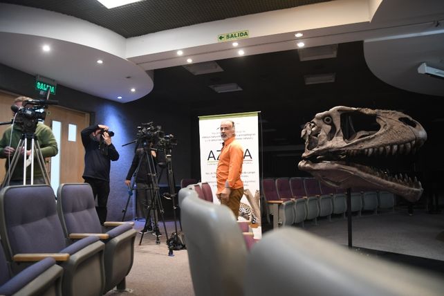Presentaron en Neuquén el esqueleto hallado de un gran devorador de dinosaurios