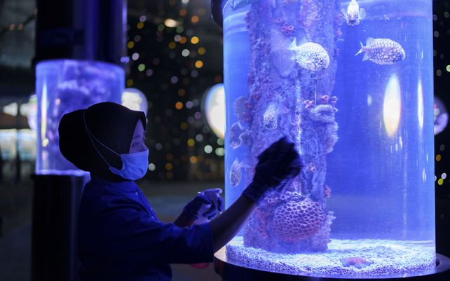 Una empleada realiza tareas de limpieza en el centro del acuario KLCC antes de que vuelva a abrir al público en Kuala Lumpur, Malasia, el miércoles 29 de septiembre de 2021.Los parques recreativos públicos pudieron reabrir para actividades de ocio.