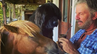 Facundo Arana y su familia convive con muchos animales en su casa, entre ellos un ave exótica.