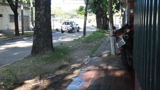 Sharon Luna heredó su lugar en la banda de Tania Rostro tras el crimen de Daiana Paiva la noche del 10 de febrero de 2.020 en Olivé al 1.900.