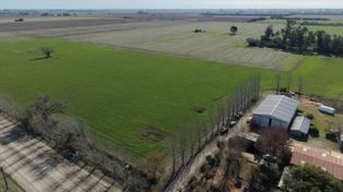 Los campos más caros de Santa Fe: cuánto cuesta una hectárea y en qué departamentos están