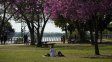 Cómo estará el tiempo en Rosario este lunes para celebrar el Día de la Primavera