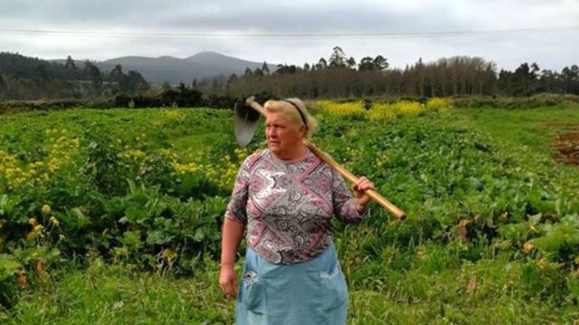 Dolores Leis