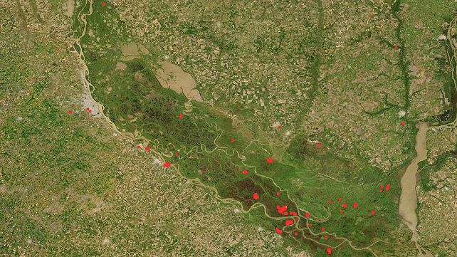 Incendios en humedales del Paraná: alertan por pérdida de fertilidad