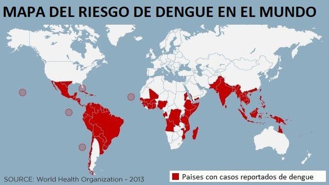 Avance mundial: ya está lista una vacuna tetravalente contra el dengue