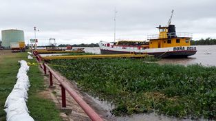 Protección Civil monitorea las localidades de la Costa ante la crecida del Paraná