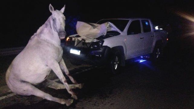 Chocó con caballo de madrugada en La Picada