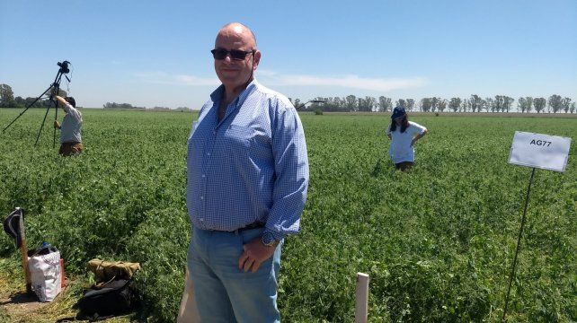 Sequía. Poletti analizó el impacto devastador en el cultivo de arveja.
