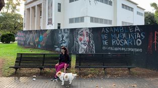 El Museo Juan B. Castagnino estuvo vallado hasta febrero de 2021 a la espera del inicio de las obras de ampliación que el gobierno provincial nunca inició nunca se iniciaron.&nbsp; 