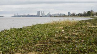 Los clubes de la costa se preparan para la llegada de El Niño