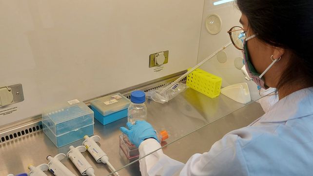 La Anmat le dio luz verde a cuatro productos