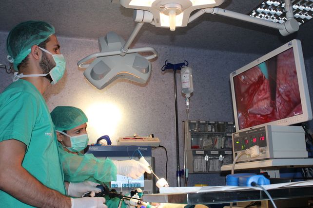 Cáncer de próstata, la tercera causa de muerte por esta enfermedad en la provincia