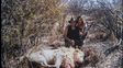 Una de las imágenes que se filtraron de la pareja con un león ya sin vida.