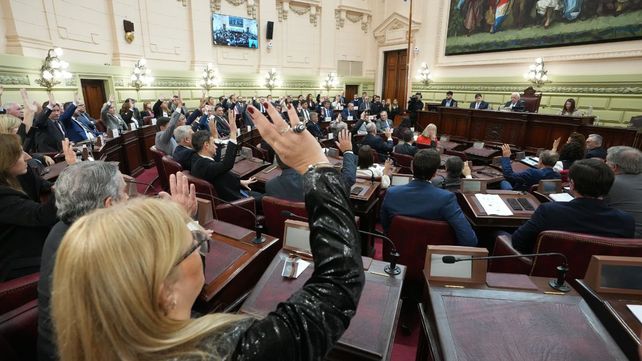 Cruces y acusaciones en la Convención Constituyente: fuerte discusión por la versión taquigráfica y el reglamento Cruces y acusaciones en la Convención Constituyente: fuerte discusión por la versión taquigráfica y el reglamento