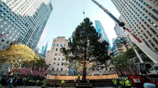 La Nochebuena está a un paso: el Rockefeller Center ya tiene su árbol de Navidad