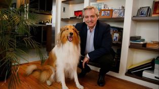 Murió Dylan, el perro del expresidente Alberto Fernández