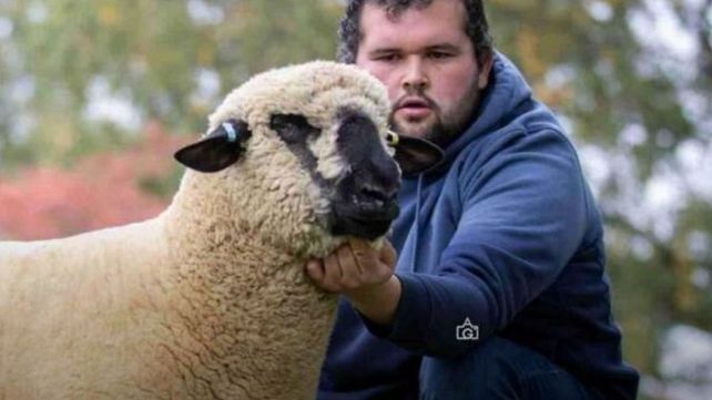 Un hecho destacado para la ganadería ovina se vivió en el Borderway Sheep Complex de Carlisle.