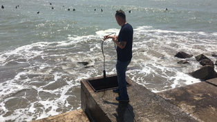 No es el Caribe, pero la temperatura del mar sube en Mar del Plata