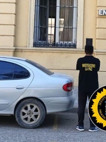 Investigan el robo de vacas y novillos en un campo de La Paz