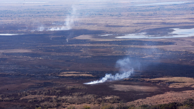 Las tomas aéreas de la destrucción del fuego en los humedales muestran tierra arrasada.