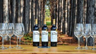 El vino 329 Marselan de Finca Fénix recibió el máximo galardón