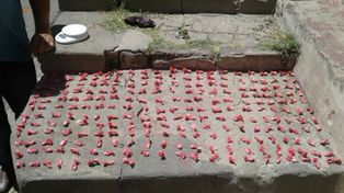 Secuestran más de 200 bochitas de cocaína para la venta