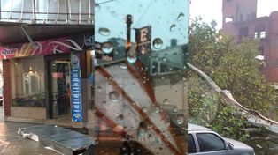 Árboles caídos, carteles tumbados y cables cortados por el fuerte temporal