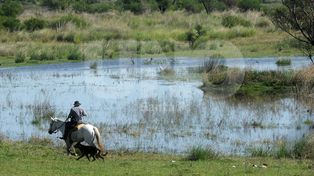 Colastiné Sur ya se prepara para la época de crecida y lluvias intensas