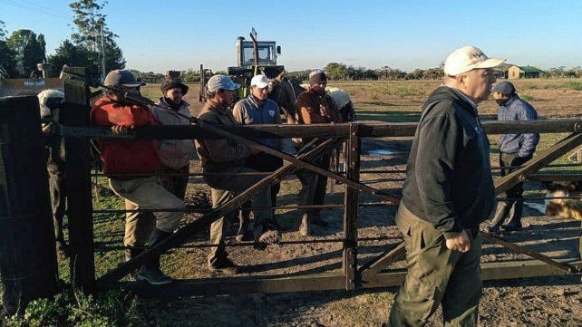 Feliciano: Uatre detectó alto índice de informalidad laboral