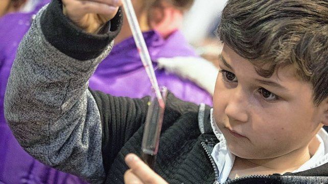 Vocaciones. Las iniciativas buscan la promoción de la cultura científica en todos los ámbitos.