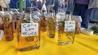 Caña con ruda para celebrar a la madre de la naturaleza