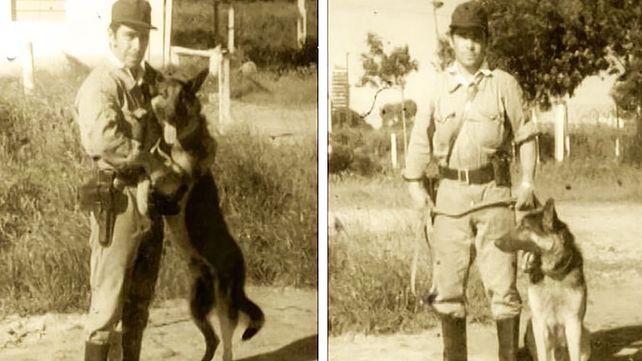 Cada 2 de junio se celebra el Día Nacional del Perro en memoria de Chonino