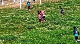 El estado de la cancha donde se jugará la Copa Perú.