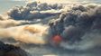 Incendios forestales consumieron más de 4.500 hectáreas en Chubut