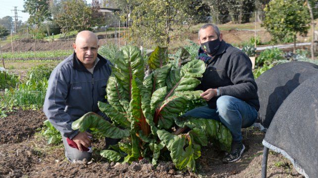 Rafael and Damián, showing a specimen of Swiss chard.