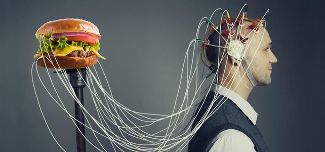 Científicos descubren el interruptor del hambre en el cerebro