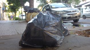 Mal olor: sin recolección, la ciudad amaneció con basura en las veredas