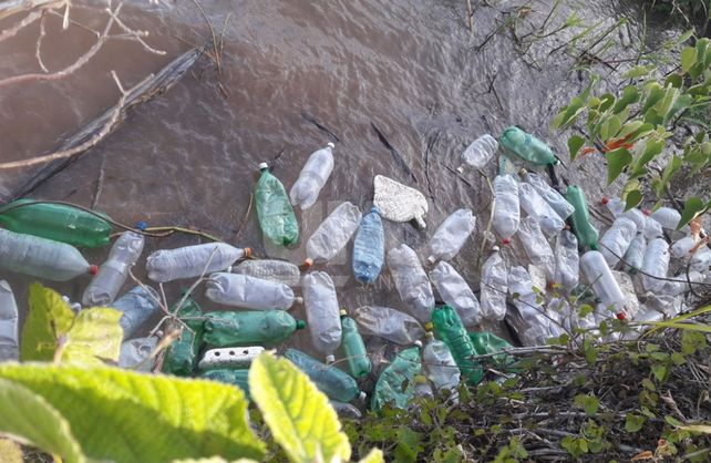 En solo tres horas, se removieron más de 500 kg de basura en la laguna Setúbal