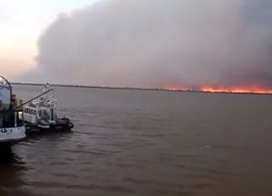 Un incendio en las islas frente a Ramallo afecta a Buenos Aires y Entre Ríos