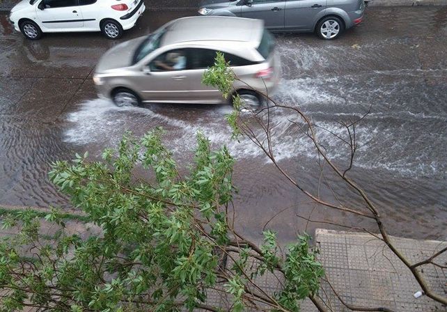 Por el temporal la EPE atendió numerosos reclamos y continúa normalizando el servicio