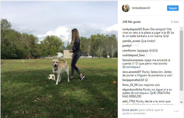 Es furor en las redes el perro de un futbolista
